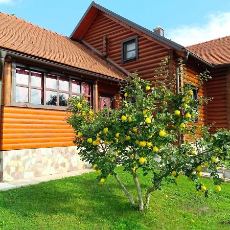 Villa Kuca Za Odmor Marta Otočac Exterior foto