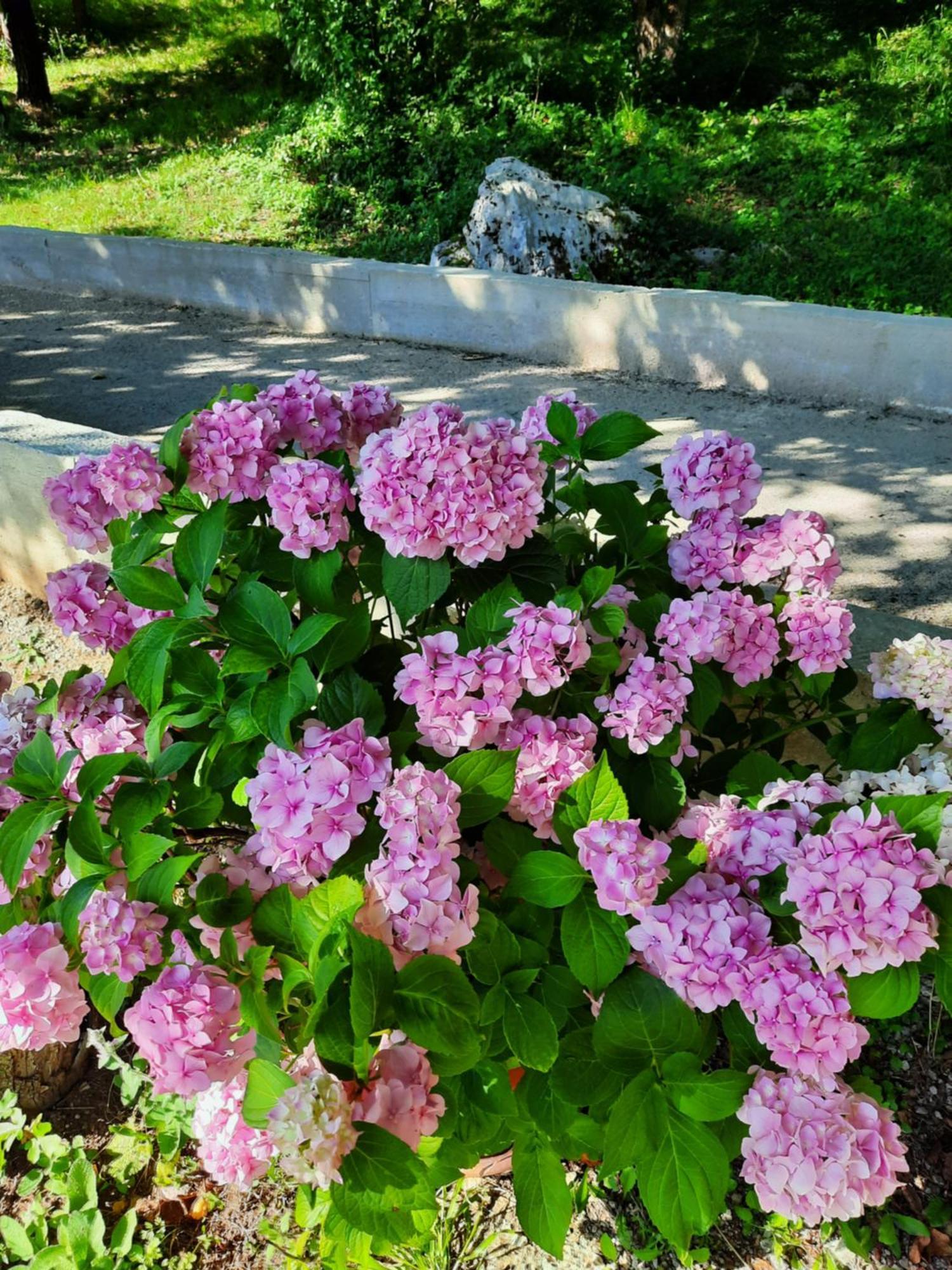 Villa Kuca Za Odmor Marta Otočac Exterior foto